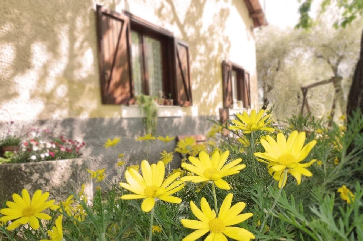 Agriturismo Macchiapiede Sala Consilina Kültér fotó
